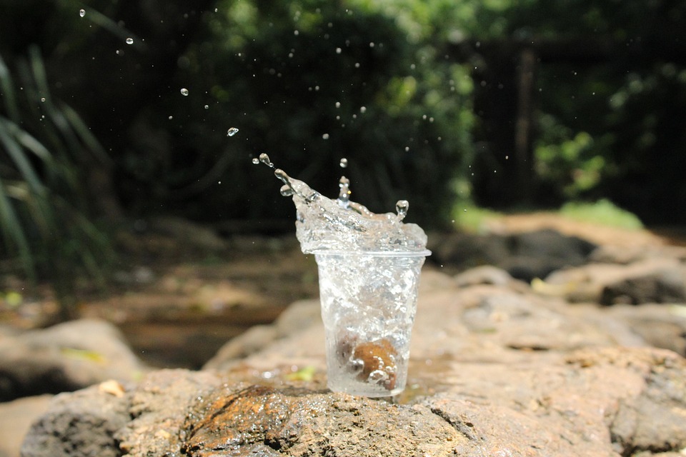 Tödliche Schüsse in Minneapolis: Proteste gegen Trumps Abschiebepolitik!