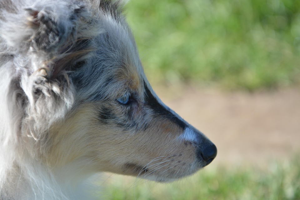 Tragisches Ende: Teenager stirbt nach Pille – Warnung vor Nebenwirkungen!