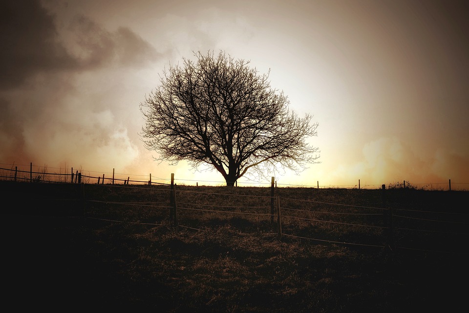 Trump droht mit Kontrolle über Grönland: China und Russland im Visier!