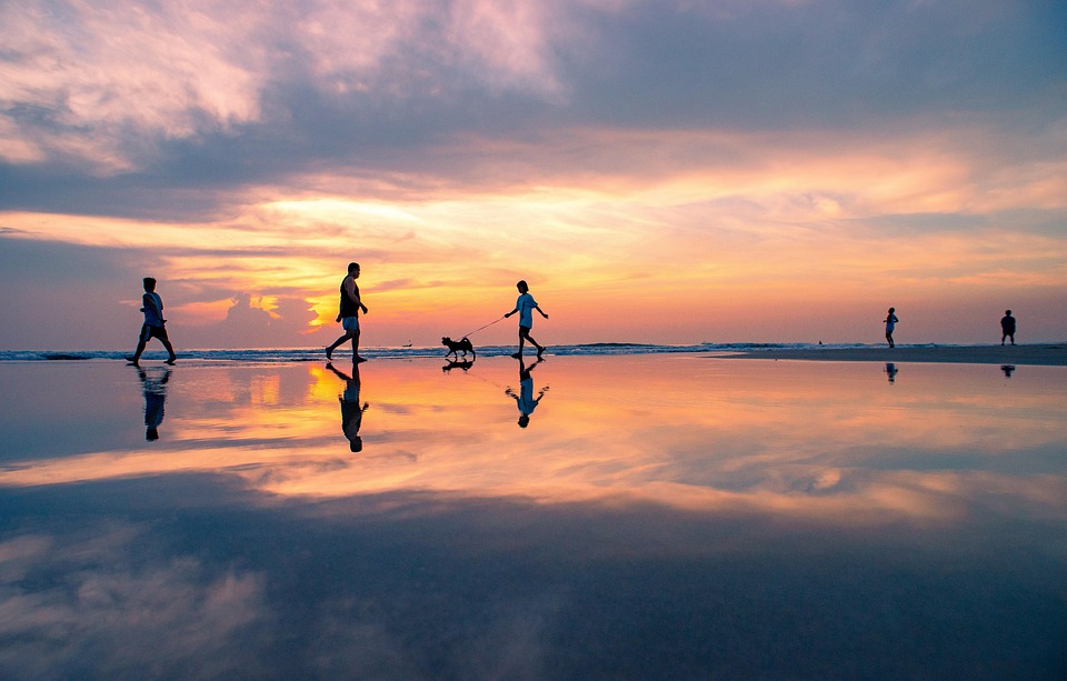 Trump nach Prettis Tod: „Keine Waffen im Protest!“ – Ermittlungen laufen