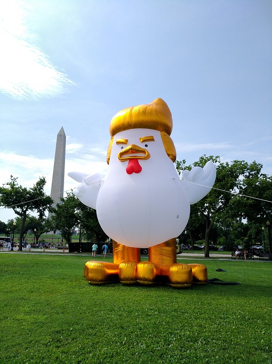 Trump will Grönland: Dänemark und Europa sagen entschieden Nein!