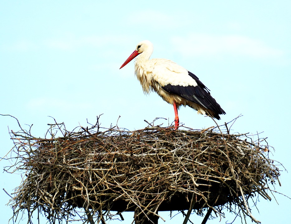 US-Beschlagnahmungen: Trump erhöht Druck auf Venezuela und Ölmarkt!