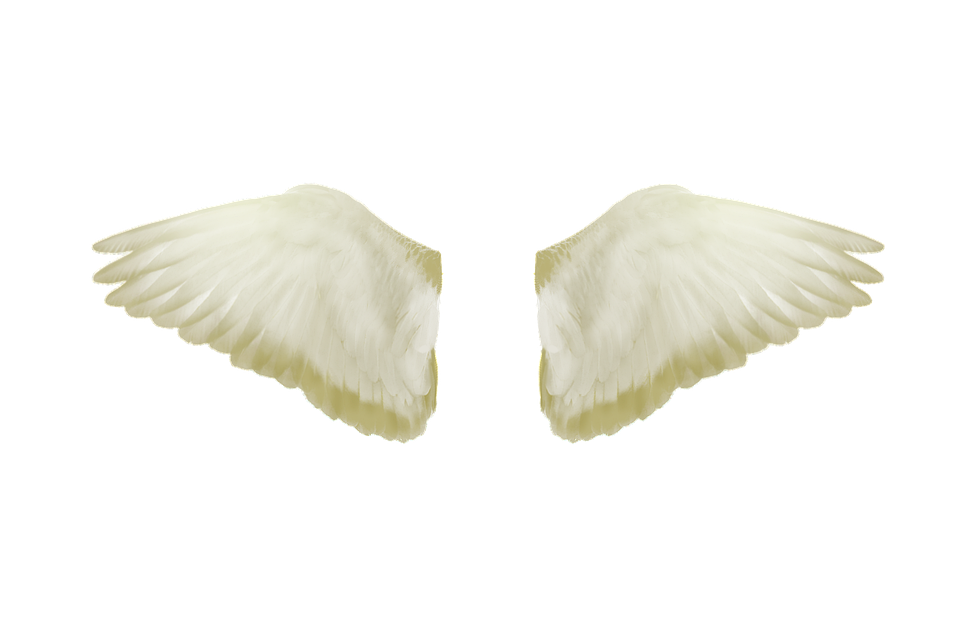 US-Botschaft in Wien: Fußball-WM 2026 und 250 Jahre Freiheit!