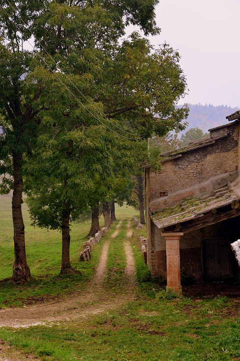 Über 43.000 Nachfahren von NS-Opfern erhalten neuen Pass in Österreich!