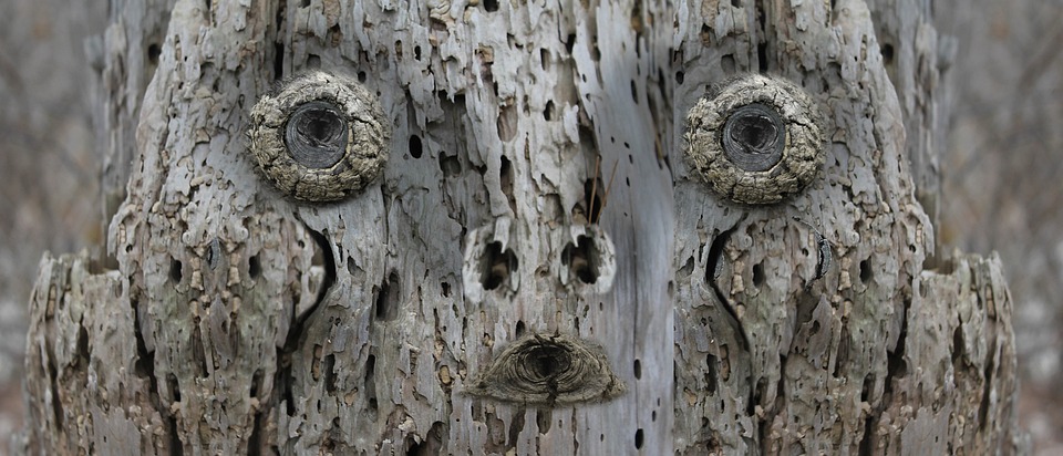 Überraschung zum Geburtstag: Ohio-Frau gewinnt 20.000 Dollar mit Rubbellos!