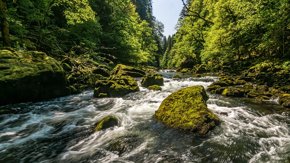 Wien stärkt den Kinderschutz: Neues Gesetz für mehr Sicherheit!