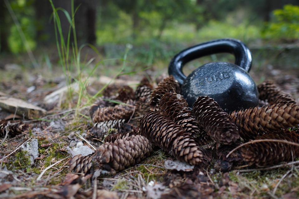 Wiener Prozess gegen Klimaaktivisten: Neue Anklagen im Anmarsch?