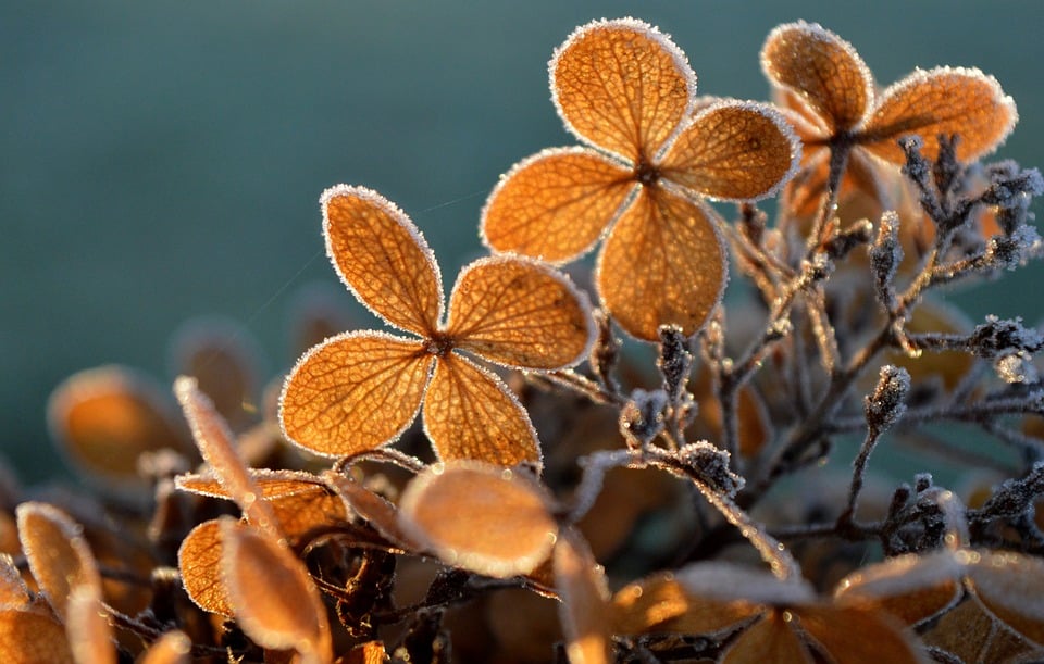 Winterwunder! Lunzer See glänzt mit 25 cm dickem Eis und Eisspaß!