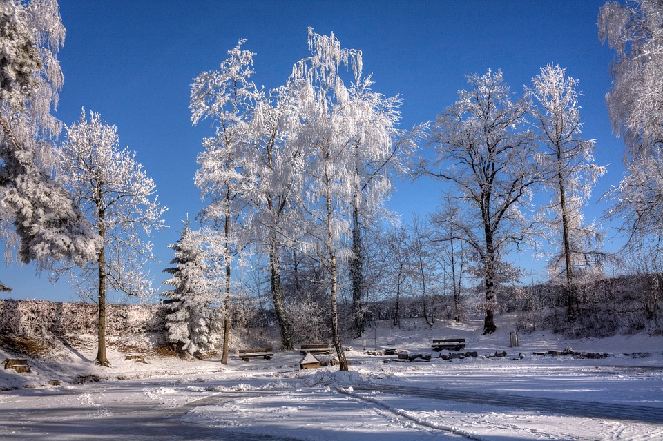 Winterzauber an der Isel: Die Naturfotografen fangen die Schönheit ein!