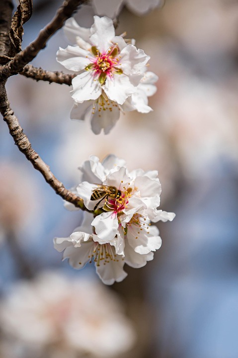 Winto.klong Festival: Die Stars der Lokalen Liedermacher am 24. Januar!