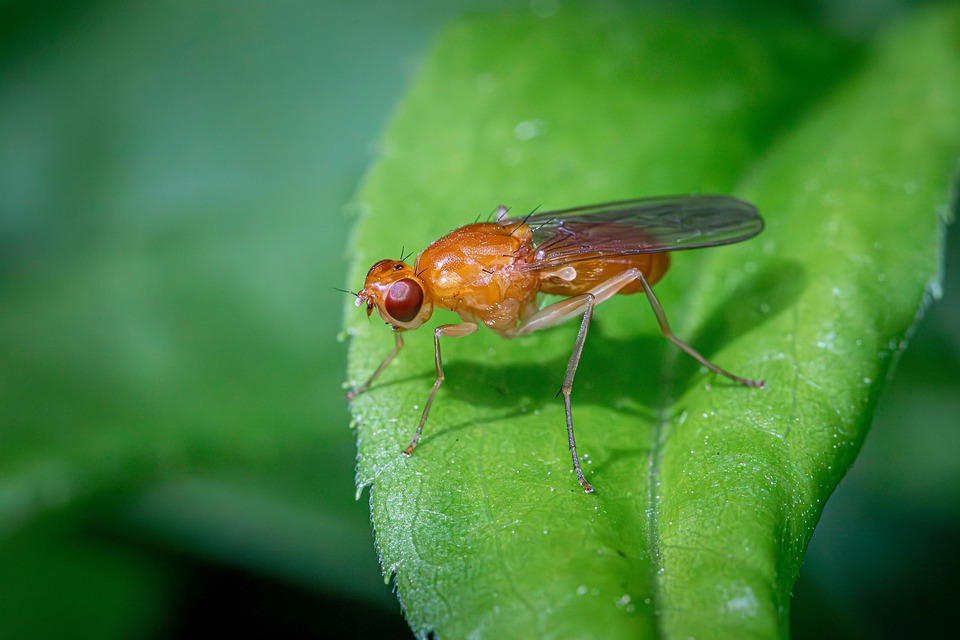 Xi Jinping: Wichtige Fakten und Kurzinfos
