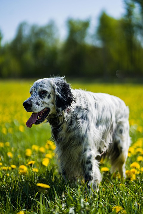 Zukunftsvision 2026: Leitbetriebe Austria setzen auf Produktivität und Investitionen