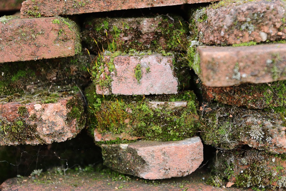 Zuwachs im Haus der Geschichte: Neue Ausstellung zu Frauenarbeit startet!