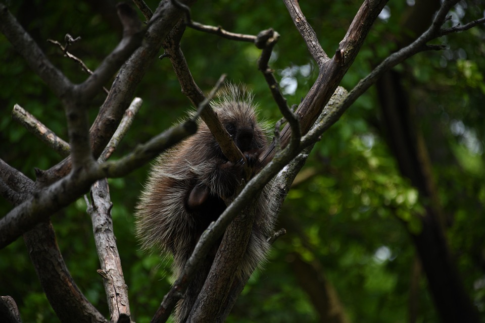 Achtung, Rückruf: Asbest-Gefahr bei beliebten Stretch Squad Figuren!