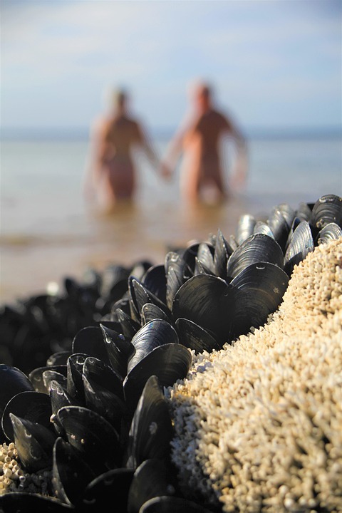 Adamu zaubert Fersler und rettet Celtic ins Pokal-Drama!