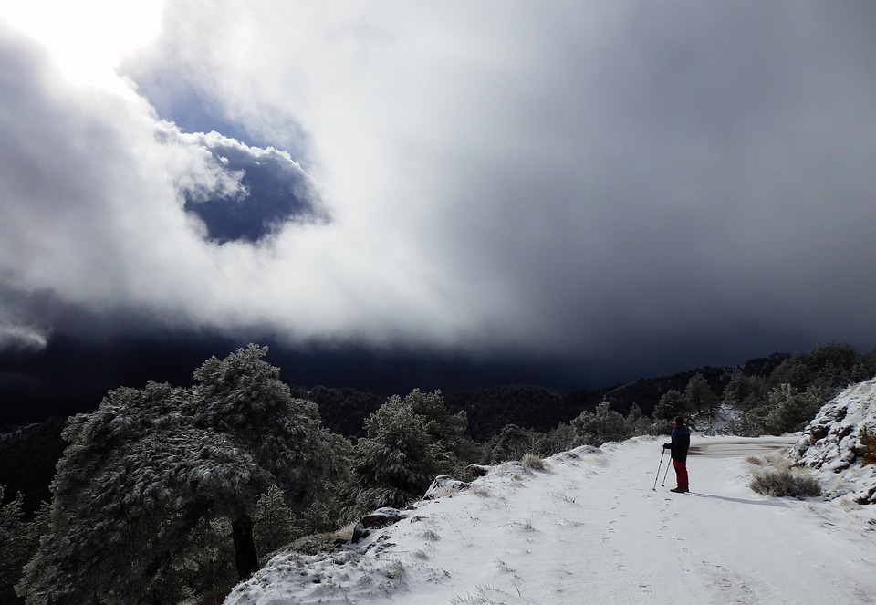 Alcaraz begeistert: Erster Titel bei den Australian Open 2026!