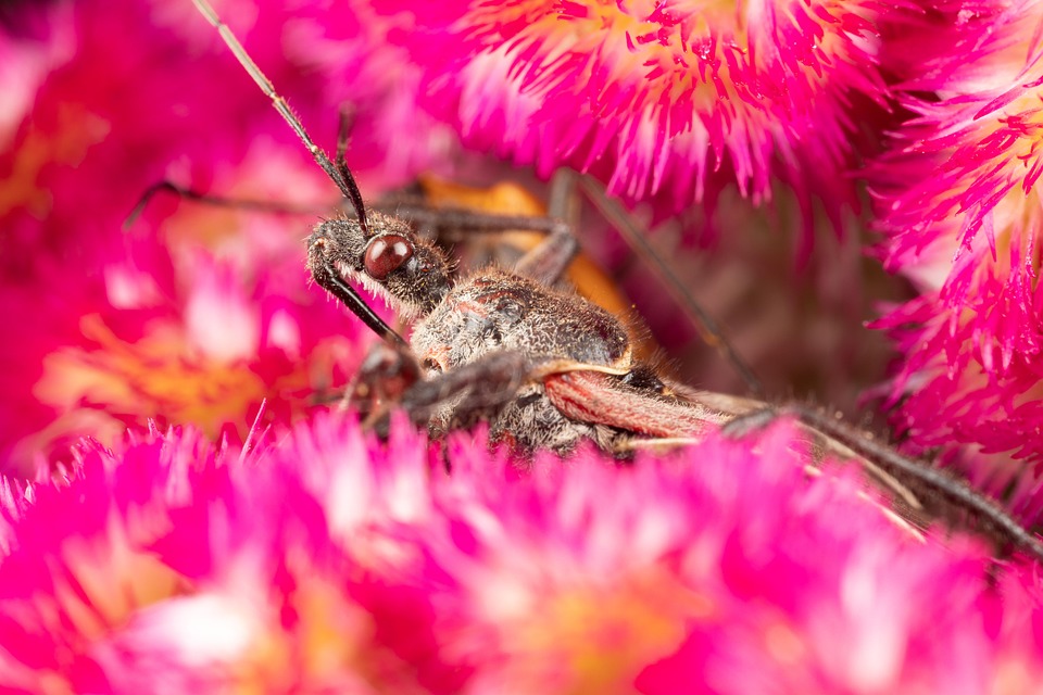 Attentat auf russischen General: Zwei Verdächtige festgenommen!