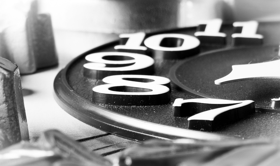 Bauernbund schlägt Alarm: Preisdruck belastet heimische Fleischproduzenten!