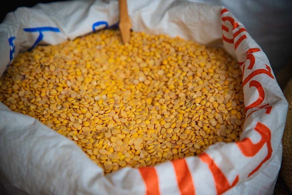 Bundeskanzler Stocker plant umstrittene Volksbefragung zur Wehrpflicht!