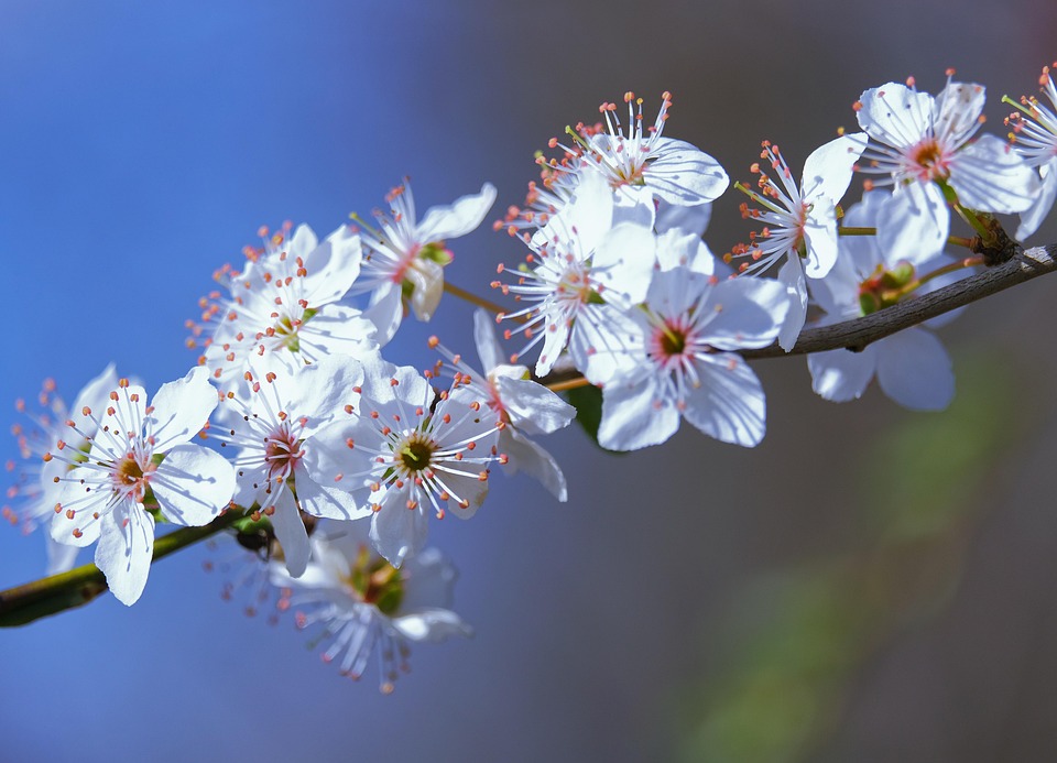 Burgenlands Industriewunder: So blüht die Wirtschaft im Jahr 2026!