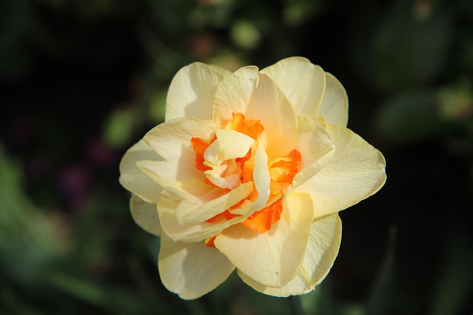 Doppelte ORF-Zahlungen: Tausende Österreicher fordern bis zu 500 Euro zurück!