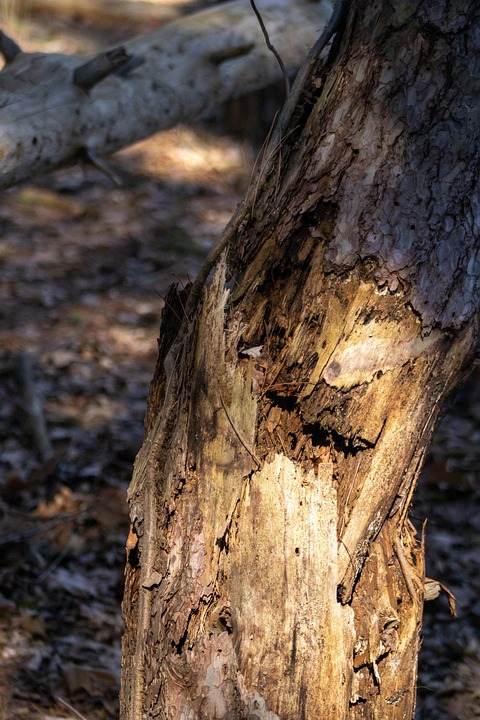Drogenfund nach Panne: Polizei schnappte Dealer in Wien-Brigittenau!