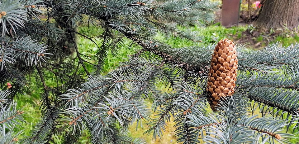 Egle und Kipp: Stolze Medaillengewinner bei ihrem Olympia-Debüt!
