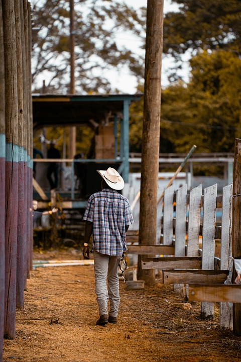 Februar-Vorhersagen: Wetterregeln der Bauern enthüllen Geheimnisse!