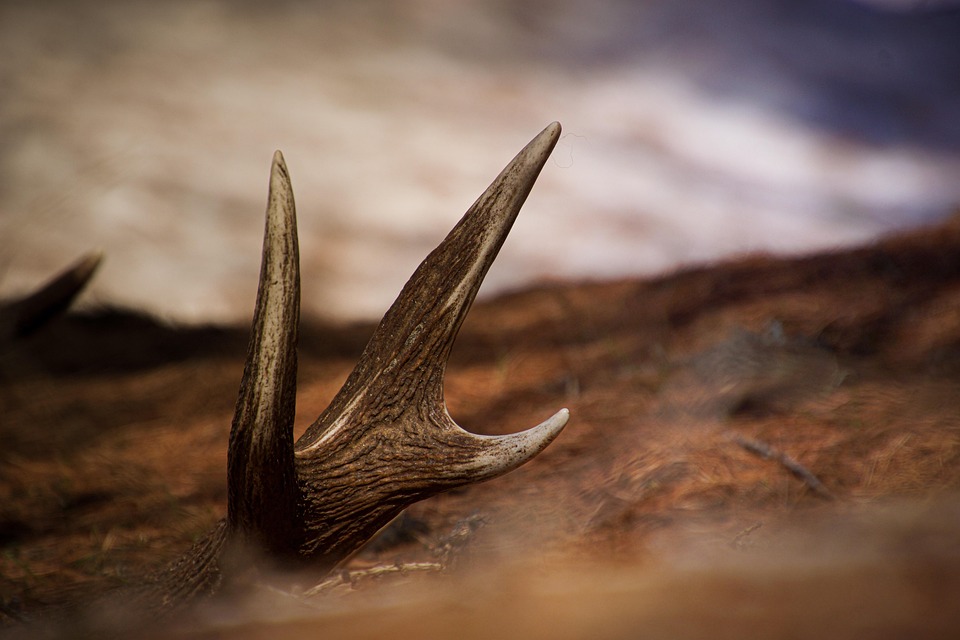 Finde die große Liebe: Tipps zur Seelenverwandtschaft und Beziehung!