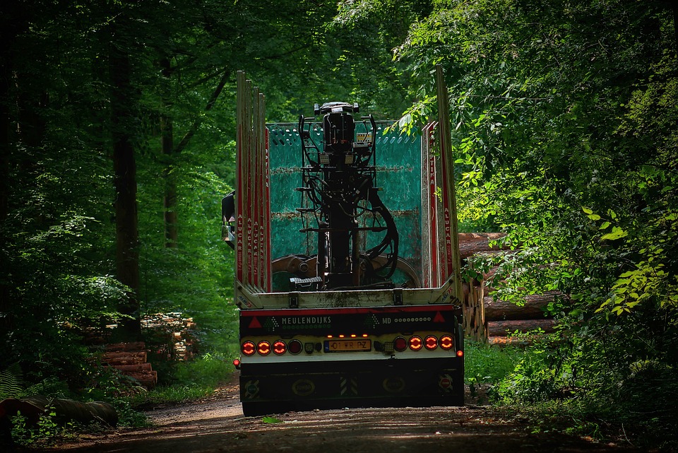 Forstarbeiter bei Baumfällen schwer verletzt – Hubschrauber im Einsatz!