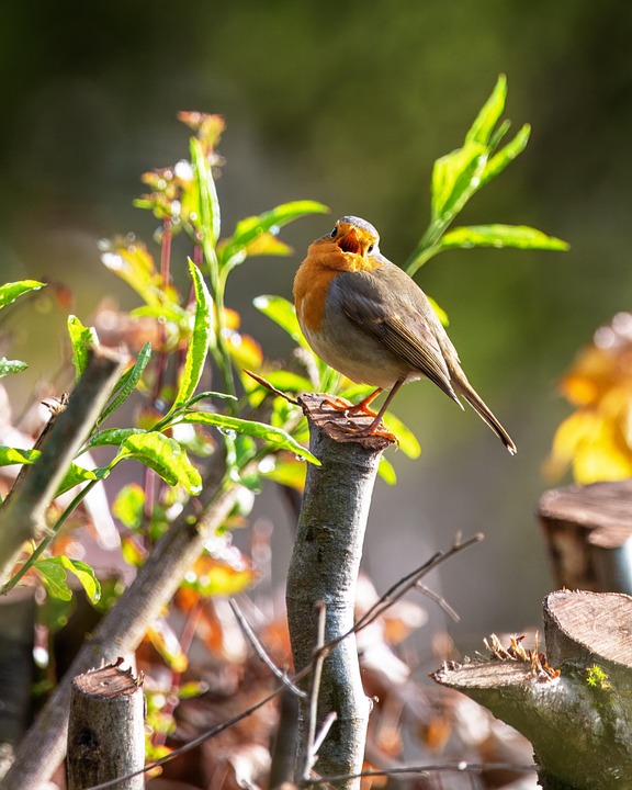 Frühling in Sicht: Keinerlei Überschwemmungen nach Schneechaos!