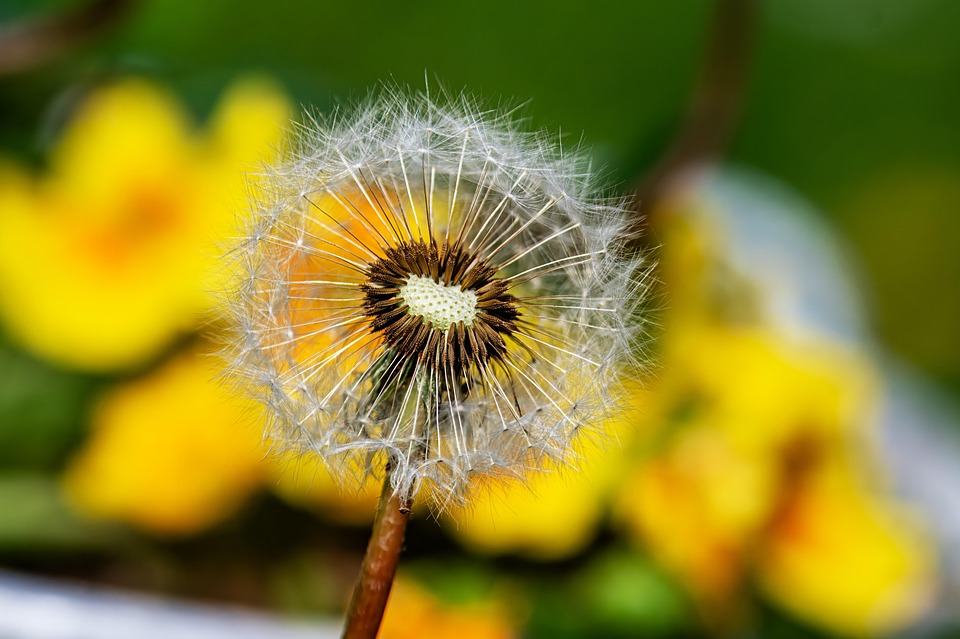 Frühling in Sicht: Sonne und milde Temperaturen in Kärnten erwartet!