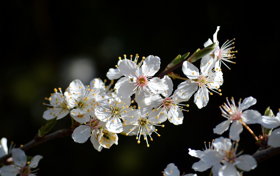 Frühlingsskilauf: Hier endet die Saison in Österreich besonders spät!