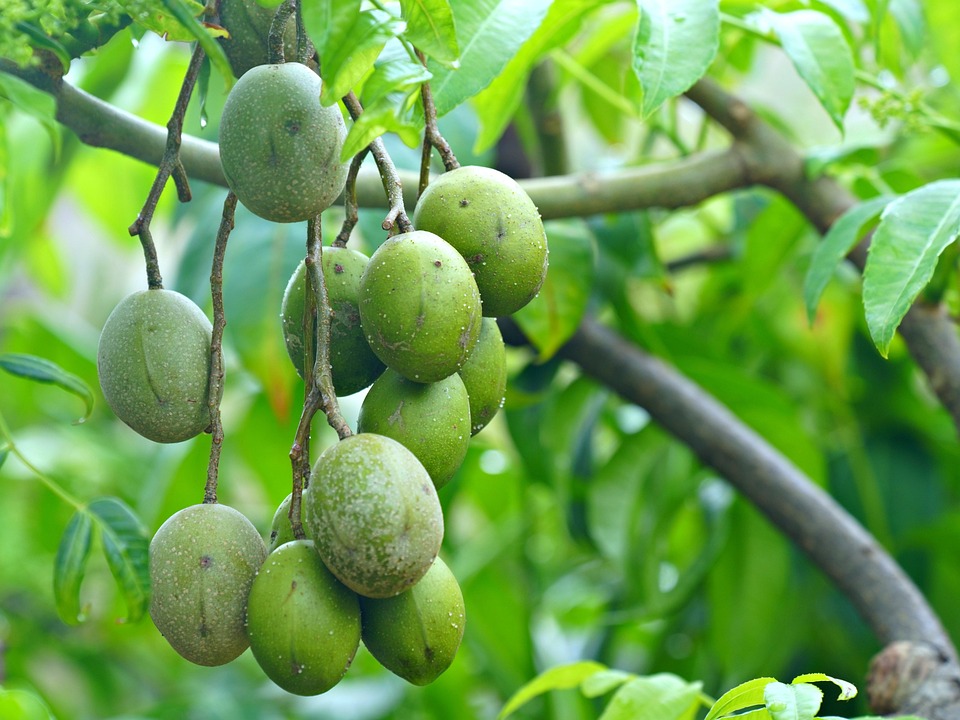 Große Ausstellung in Rom: Meisterwerke aus dem Wiener KHM erobern Italien!