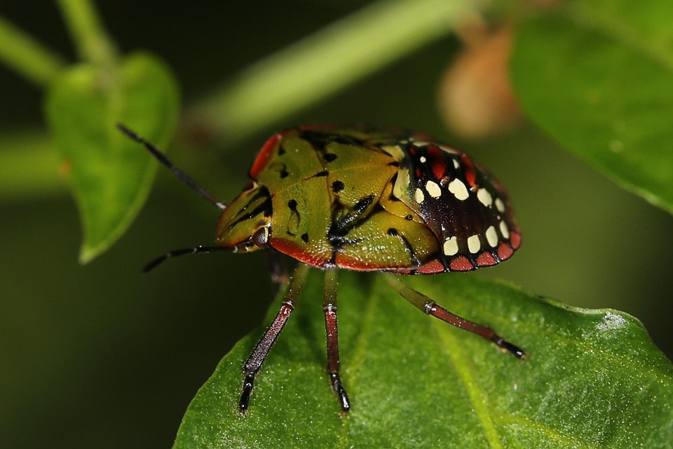 Grüne fordern Verantwortung: Skandal um Matrei und Kölls Millionenschäden!