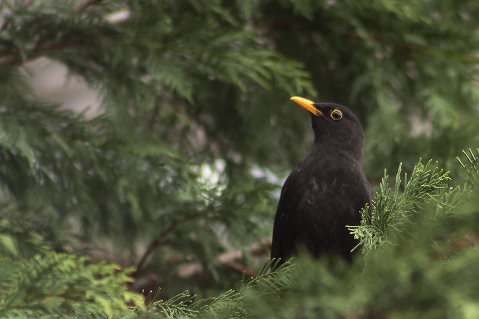 Heizungsförderung 2026: Nur noch für Kesseltausch verfügbar!