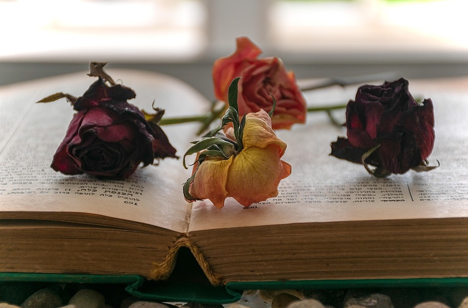 Inter Mailand setzt sich im packenden Derby gegen Juventus durch!