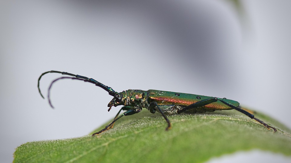 KI-Skandal: Ermittlungen gegen Musk wegen missbrauchsgefährdeter Bilder!