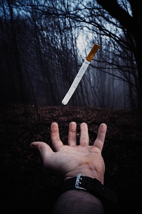 Kärnten sucht die besten Arbeiten: Jetzt für den Europa-Preis bewerben!