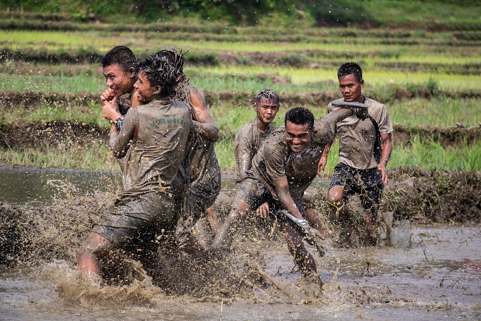 Kärntens Landwirte wehren sich: Wolfsschutz gefährdet Almwirtschaft!
