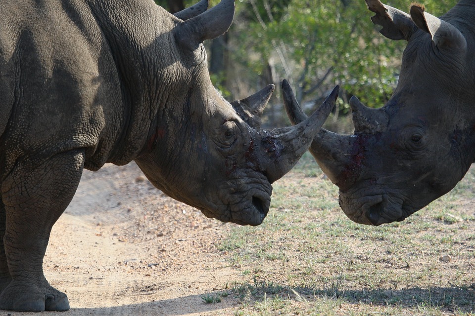 Kampf um die Zukunft: Reiche stoppt den Ausbau der Erneuerbaren Energien!