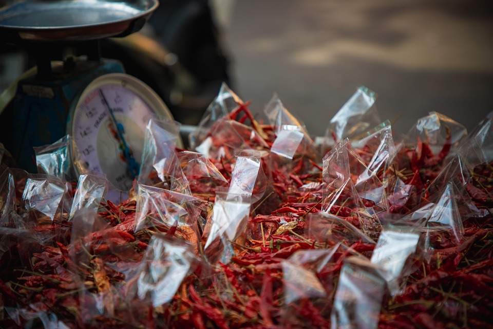 Kanzler Stocker plant Volksbefragung: Wehrdienst auf der Kippe!