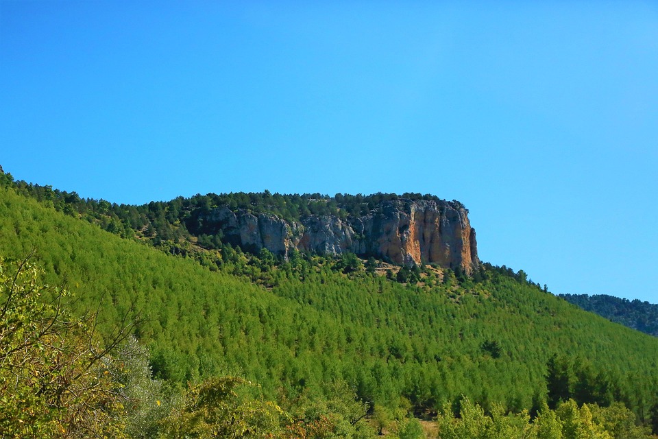 Kennedy Jr. gesteht: „Kokain von Toilettensitzen gezogen!“