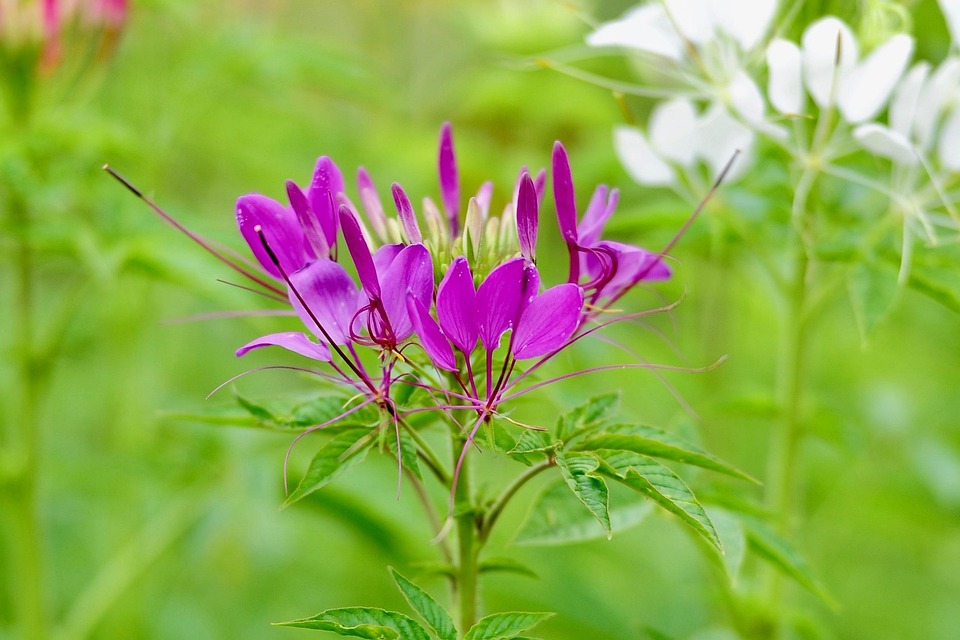 Kiew im Winter: Über 5.000 Gebäude ohne Heizung und Wasser!