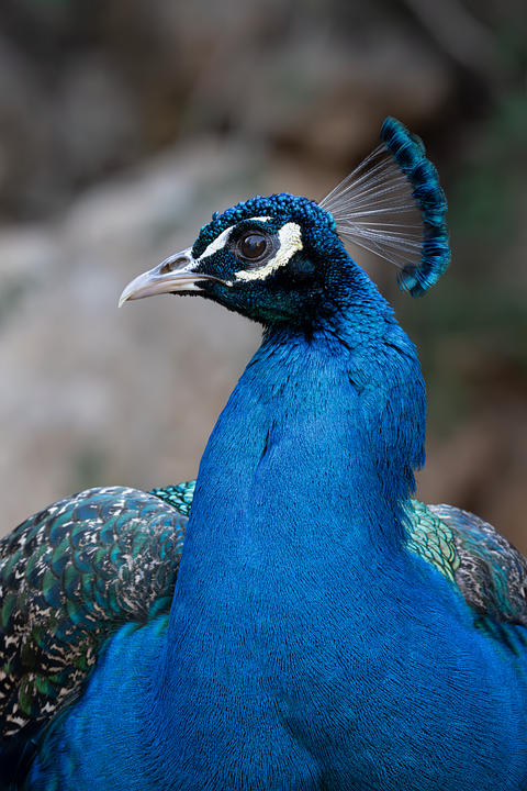 Machado: Politischer Wandel in Venezuela ist unausweichlich!