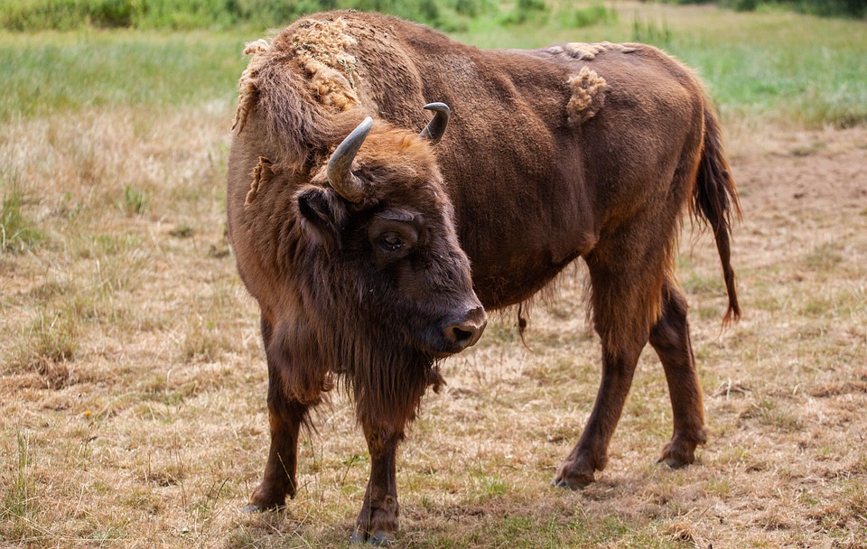 Massiver Auffahrunfall im Ganzsteintunnel – glücklicherweise ohne Verletzte!