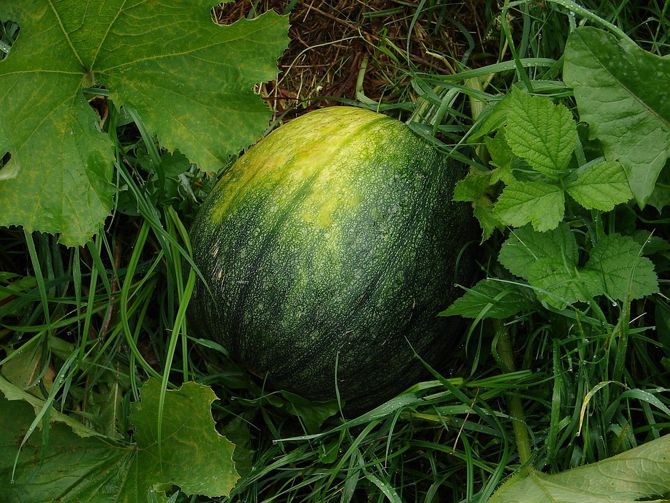 Meloni verurteilt Gewalt bei Olympia-Protesten: „Feinde Italiens!“