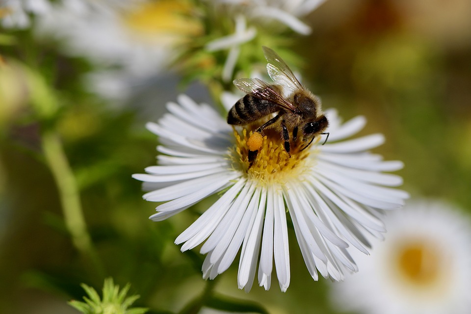 Nachhaltige Zukunft: Erster Dämmstoff aus alten Jeans auf Wiener Messe!