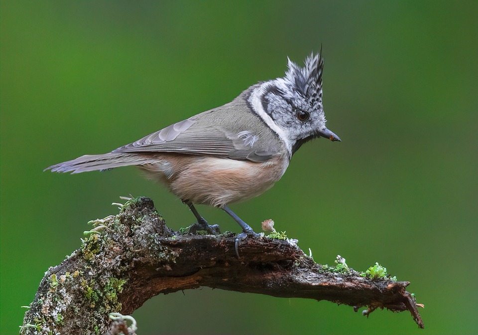 Nachhaltigkeits-Boom: Wie grüne Unternehmen die Wirtschaft revolutionieren!