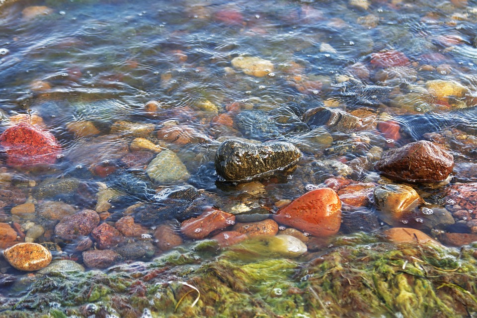 ÖVP-Flops: Schulleiter Klar tritt nach Russell-TV-Livesendung zurück!
